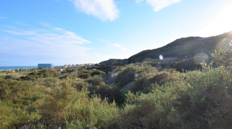 Alicante - Guardamar del Segura - 3500m2