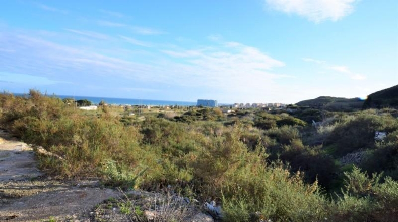 Alicante - Guardamar del Segura - 3500m2