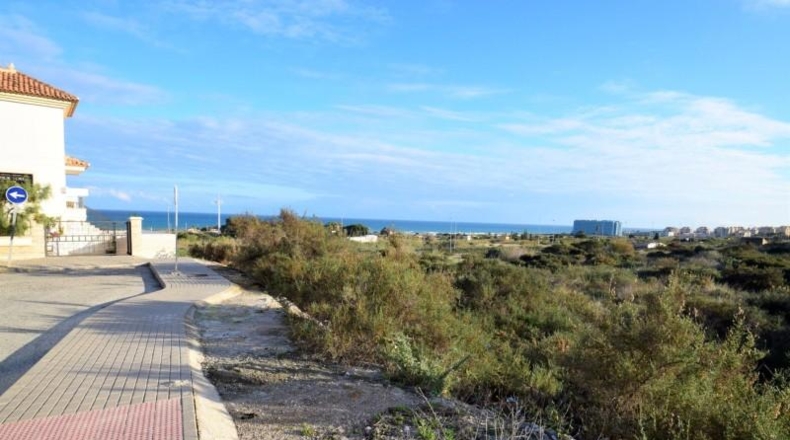 Alicante - Guardamar del Segura - 3500m2