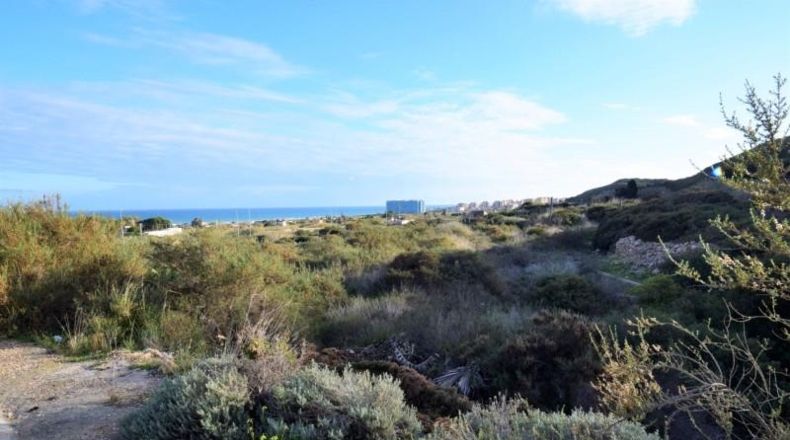 Alicante - Guardamar del Segura - 3500m2