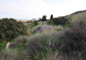 Land suitable for development for sale on España, Guardamar del Segura, ref: TR406121 photo