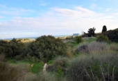 Land suitable for development for sale on España, Guardamar del Segura, ref: TR406121 photo