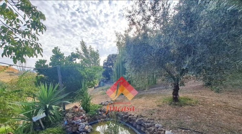 Málaga - Ronda - 16700m2