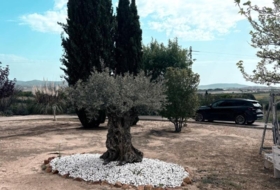 Almansa 14000&nbsp;m²