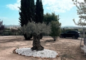 Xalet independent amb terreny en venda a la España, Almansa, ref.: TR406131 foto