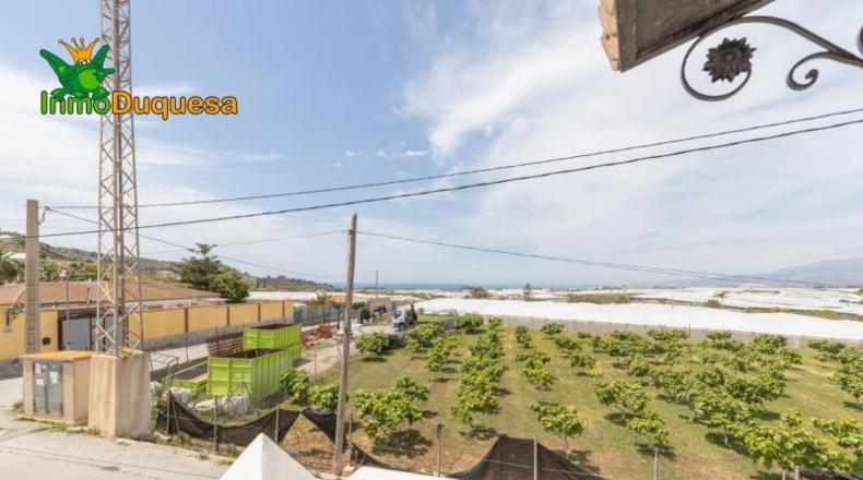 Granada - Motril - 5100m2