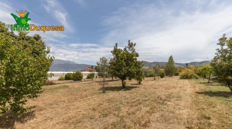 Granada - Motril - 5100m2