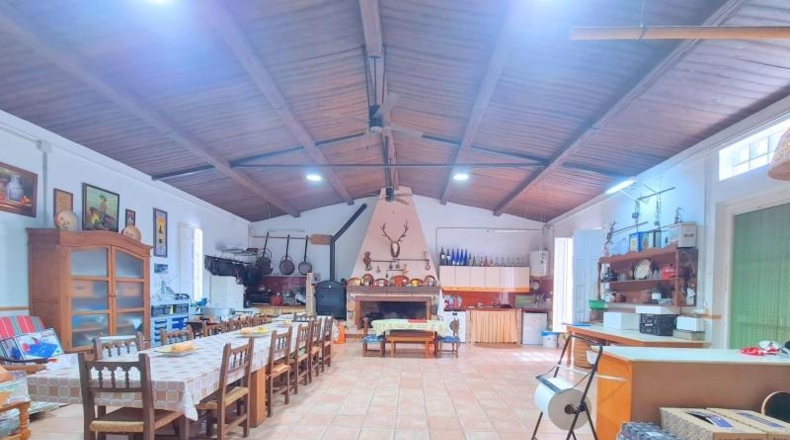 Murcia - Cartagena - 30000m2