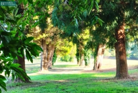 O Barral 204600&nbsp;m² 
