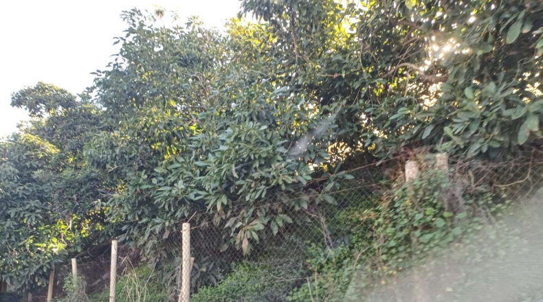 Málaga - Torrox - 1500m2