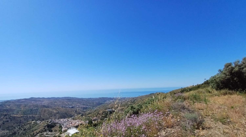 Malaga - Moclinejo - 26000m2