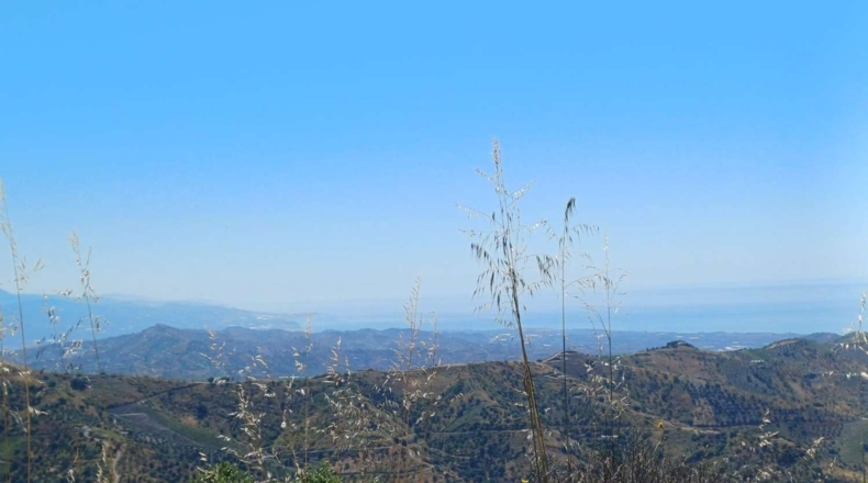 Malaga - Moclinejo - 26000m2