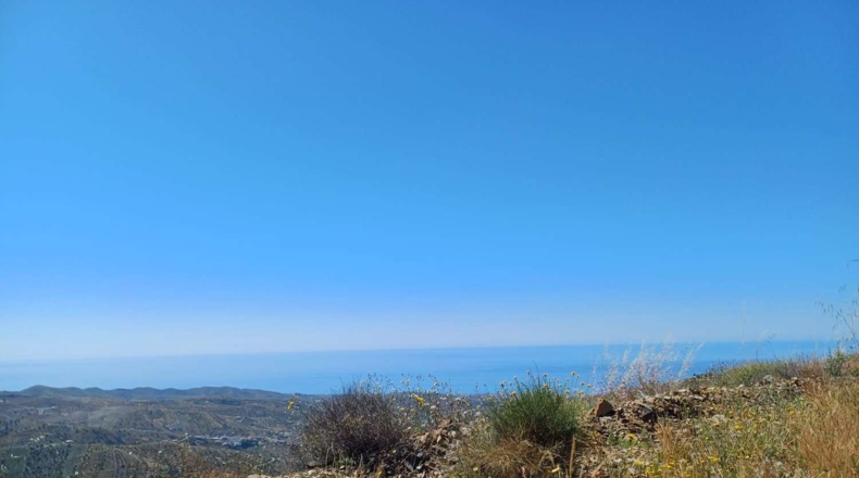 Malaga - Moclinejo - 26000m2