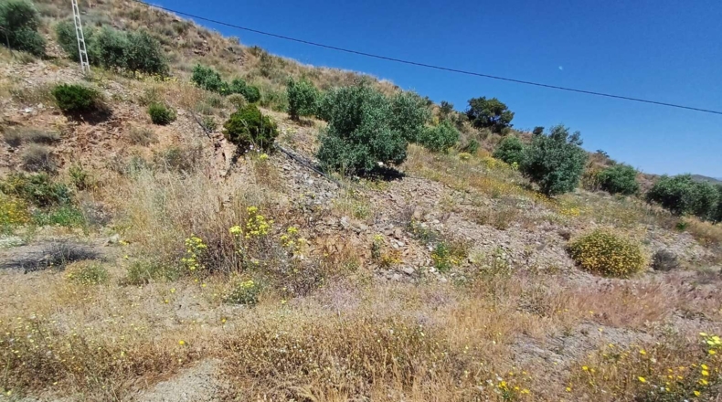 Malaga - Moclinejo - 26000m2