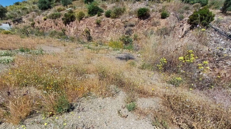 Malaga - Moclinejo - 26000m2