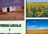 Terreno con Almacén en venta en Alcázar del Rey ref: TR406147 foto