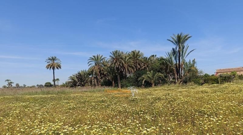 Alicante - Elche - 3000m2