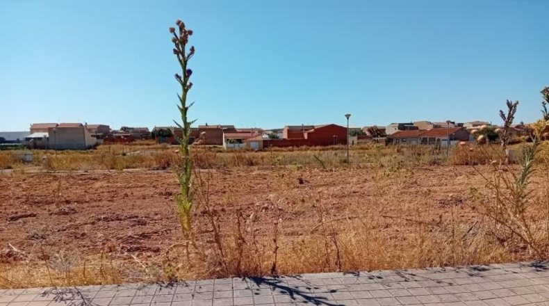 Ciudad Real - Pozuelo de Calatrava - 500m2