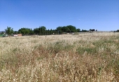 Terreny no urbanitzable en venda a la España, Ciudad Real, ref.: TR312196 foto