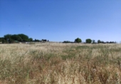 Terreny no urbanitzable en venda a la España, Ciudad Real, ref.: TR312196 foto