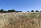 Terreny no urbanitzable en venda a la España, Ciudad Real, ref.: TR312196 foto