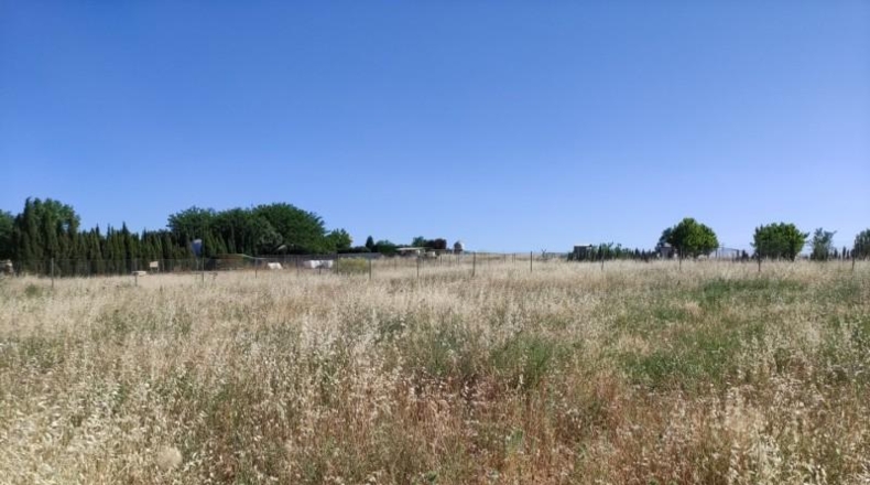 Сьюдад-Реаль - Ciudad Real - 2500m2