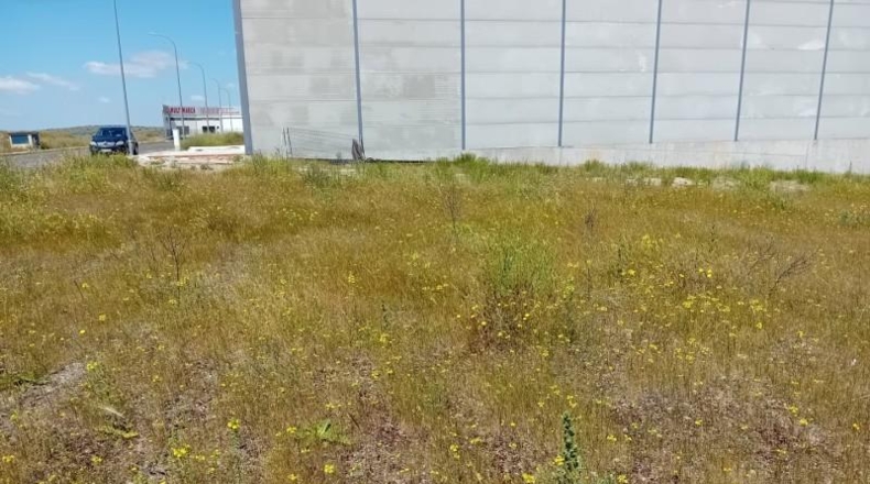 Ciudad Real - Almagro - 716m2
