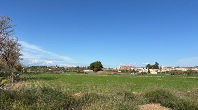 Murcia - Múrcia - 2150m2