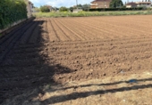 Non-developable land for sale on España, Oria, ref: TR394718 photo