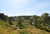 Land suitable for development for sale on España, Canyelles, ref: TR404720 photo