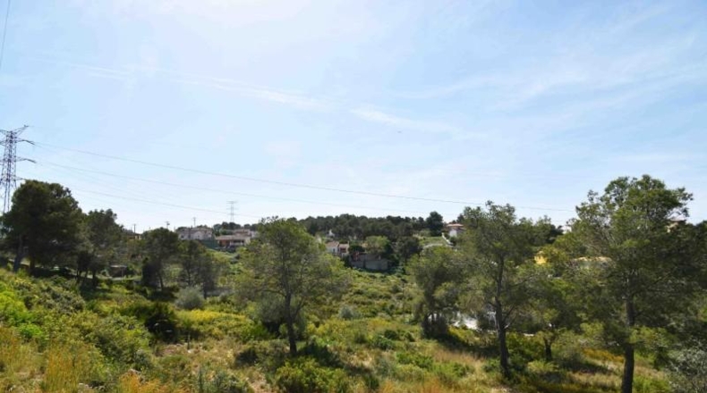 Barcelona - les Palmeres - 800m2