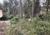 Sòl urbà en venda a la España, Castellví de Rosanes, ref.: TR122952 foto