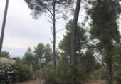 Sòl urbà en venda a la España, Castellví de Rosanes, ref.: TR122952 foto