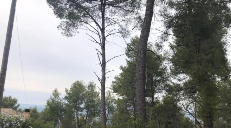 Barcelona - Castellví de Rosanes - 1000m2