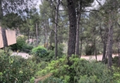 Sòl urbà en venda a la España, Castellví de Rosanes, ref.: TR122952 foto