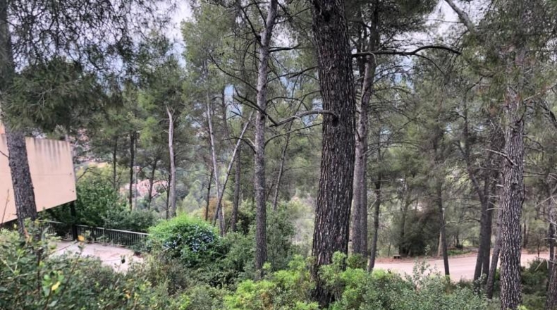 Barcelona - Castellví de Rosanes - 1000m2