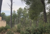 Sòl urbà en venda a la España, Castellví de Rosanes, ref.: TR122952 foto
