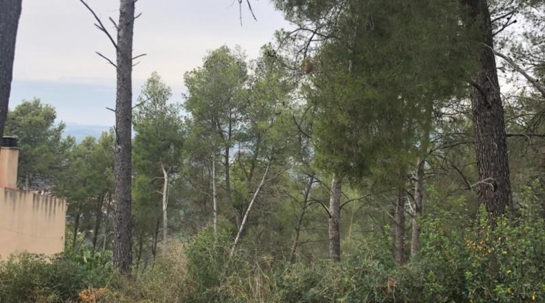 Barcelona - Castellví de Rosanes - 1000m2