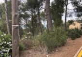 Sòl urbà en venda a la España, Castellví de Rosanes, ref.: TR122952 foto