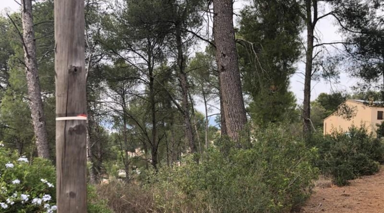 Barcelona - Castellví de Rosanes - 1000m2