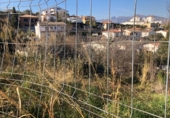 Sòl urbà en venda a la España, Masquefa, ref.: TR120653 foto