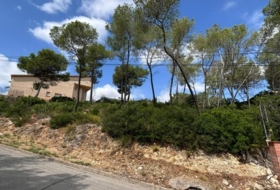 Olivella 888&nbsp;m² 