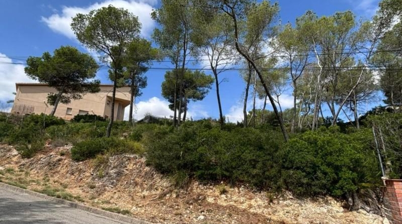Barcelona - Olivella - 888m2