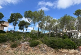 Olivella 888&nbsp;m² 