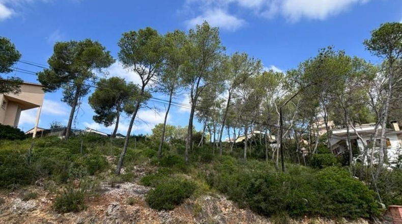 Barcelona - Olivella - 888m2