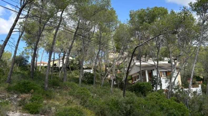 Barcelona - Olivella - 888m2