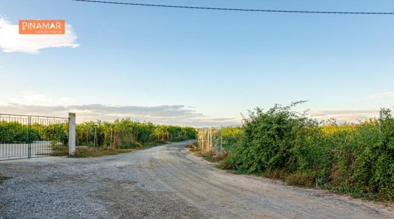 Múrcia - Múrcia - 3811m2