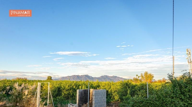 Múrcia - Múrcia - 3811m2