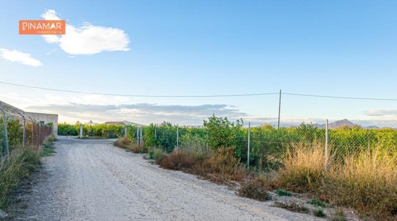 Múrcia - Múrcia - 3811m2