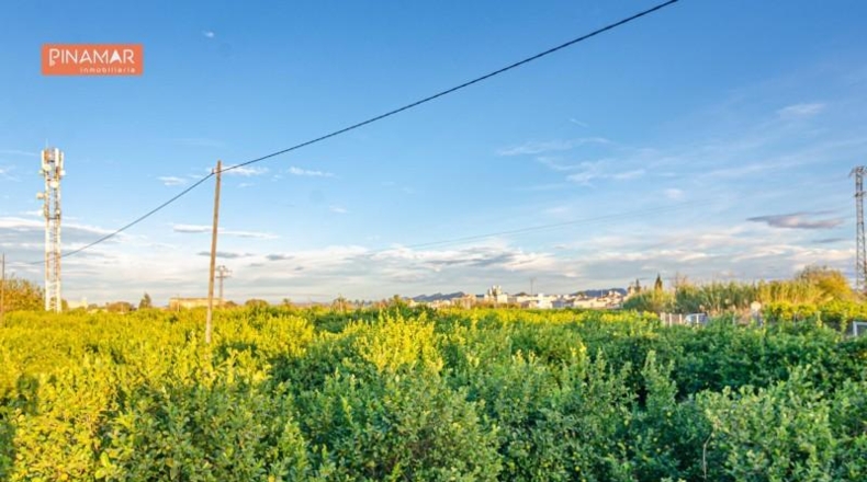 Múrcia - Múrcia - 3811m2
